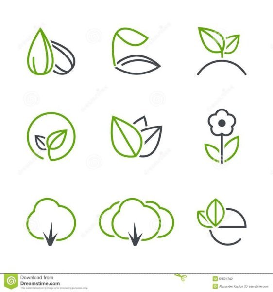 Росток Графика