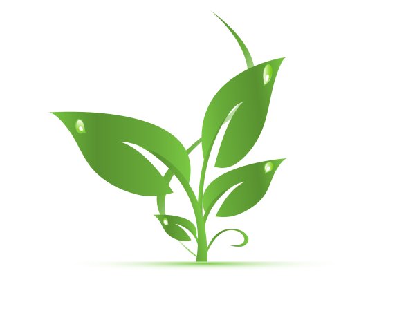 Росток логотип на прозрачном фоне