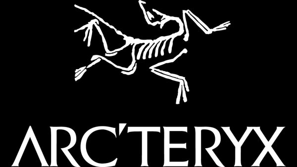 Arcteryx значок