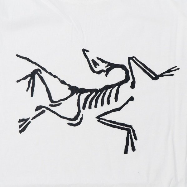 Арктерикс одежда логотип