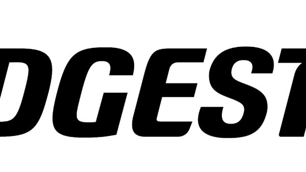 Bridgestone шины логотип