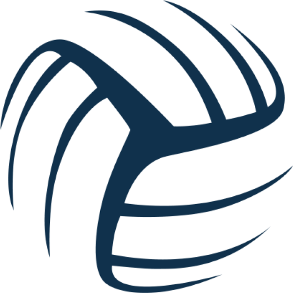 Волейбольный мяч логотип