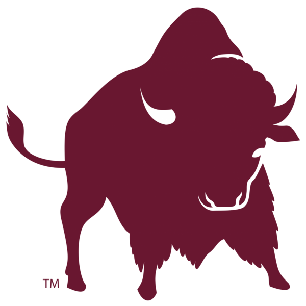 ЗУБР Графика