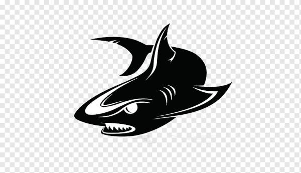 Акула логотип