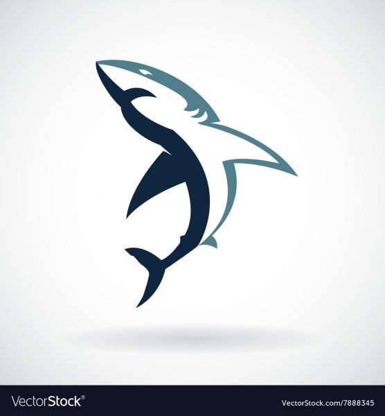 Логотип плавник акулы