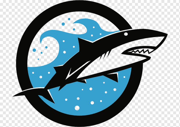 Акула вектор