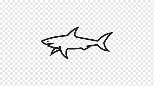Акула сбоку вектор
