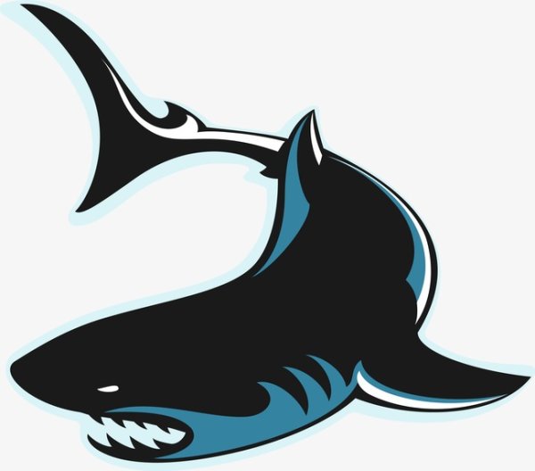 Paul Shark акула наклейка