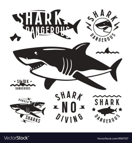 Эмблема Шарк