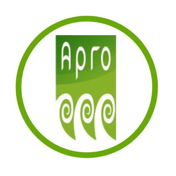 Компания Арго