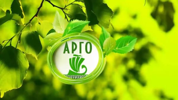Компания Арго