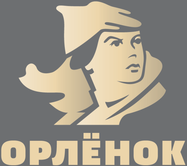 Логотип Орленка лагеря
