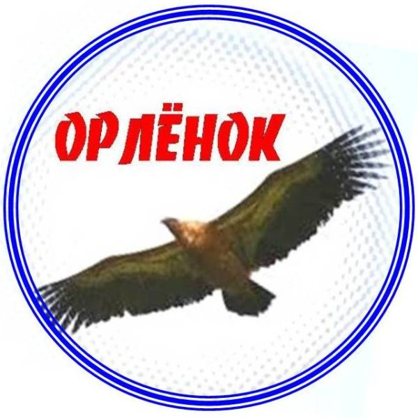 Значок лагеря Орленок