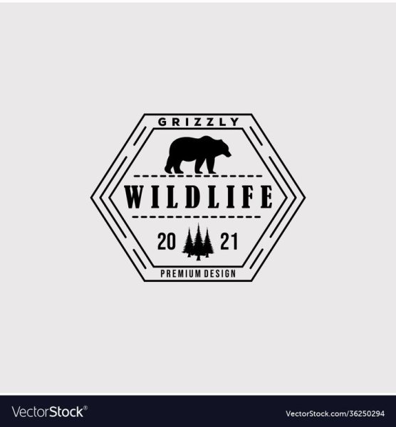 Логотип мишка для кафе