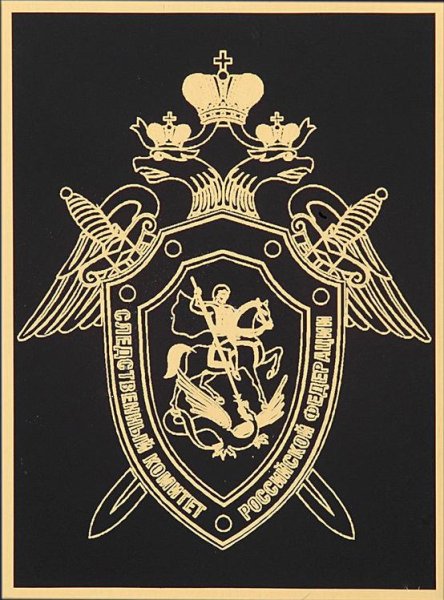 Следственный комитет РФ вектор