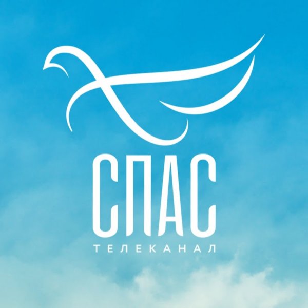 Телеканал спас