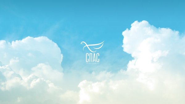 Спас логотип