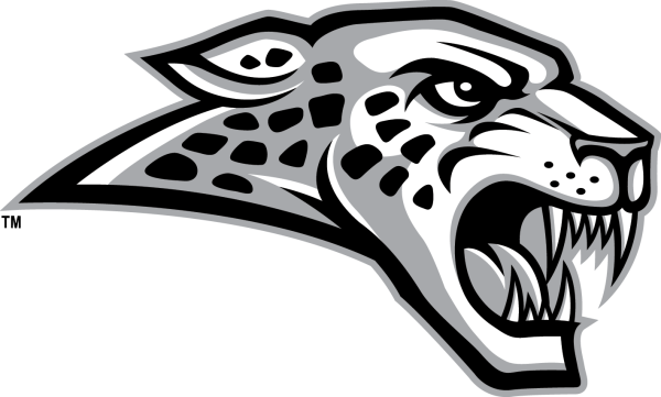 Снежный Барс лого