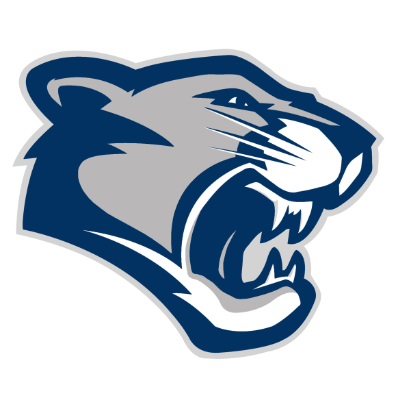 Барс вектор