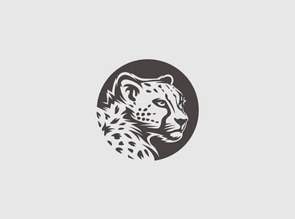 Снежный Барс логотип