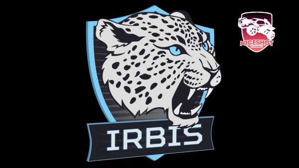 Irbis логотип
