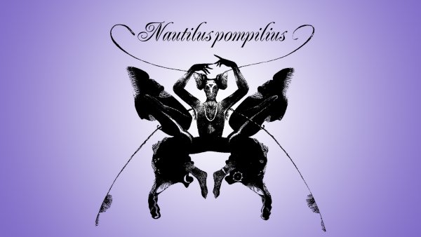 Nautilus Pompilius чужая земля 1992