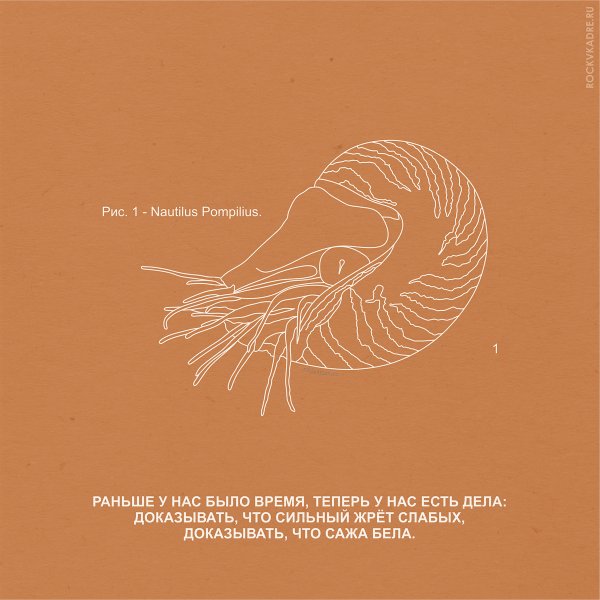 Значок Наутилус Помпилиус