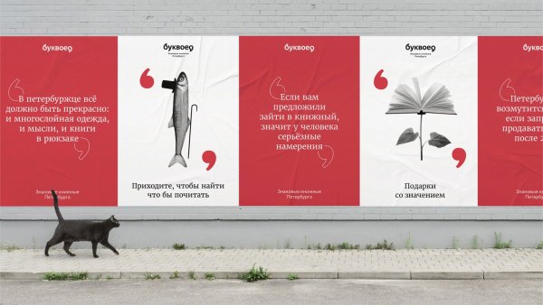 Буквоед магазин