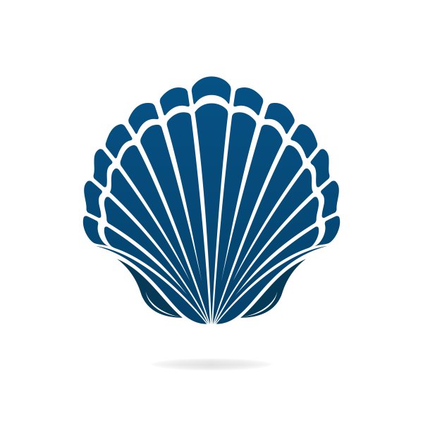 Логотип раковина морская