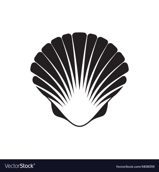 Ракушка символ