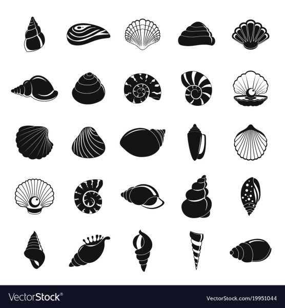 Ракушка логотип