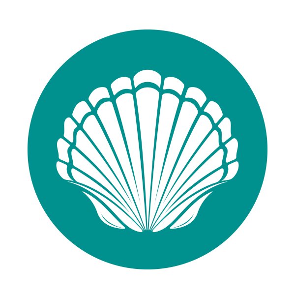 Морская раковина символ