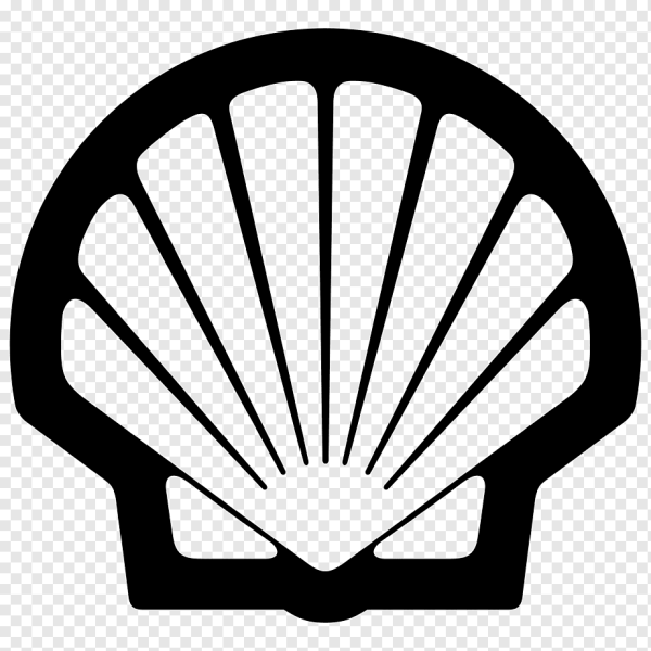 Ракушка значок