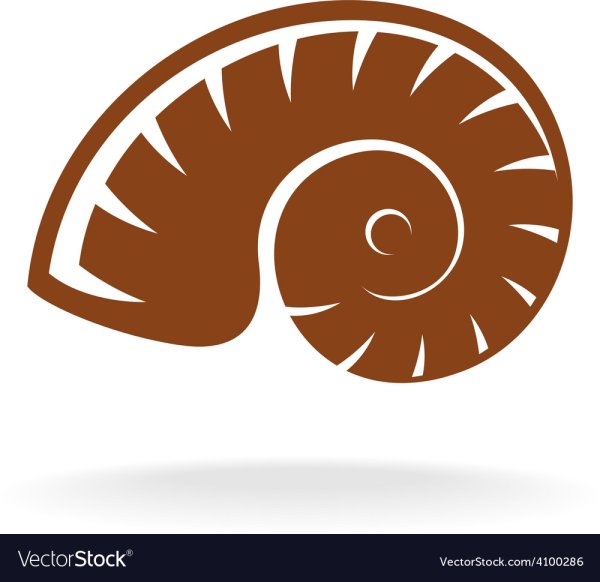 Ракушка логотип