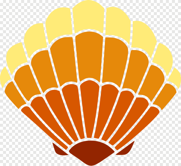 Логотип в виде ракушки