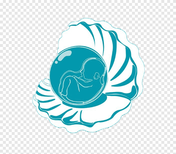 Логотип Жемчужина в раковине