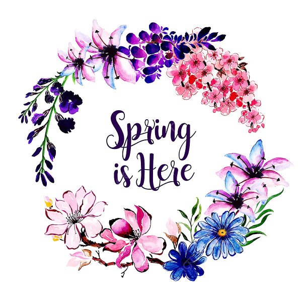 Цветочная рамка для логотипа