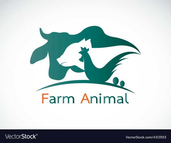 Логотип курицы и коровы
