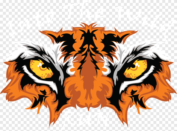 Логотип звериный глаз