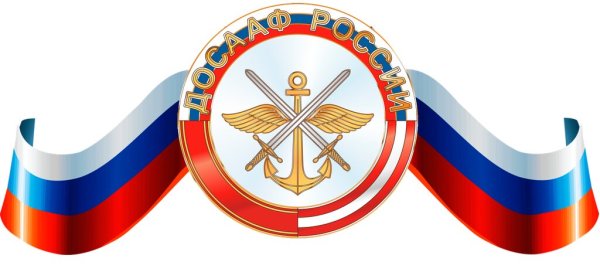 Добровольное общество содействия армии авиации и флоту России