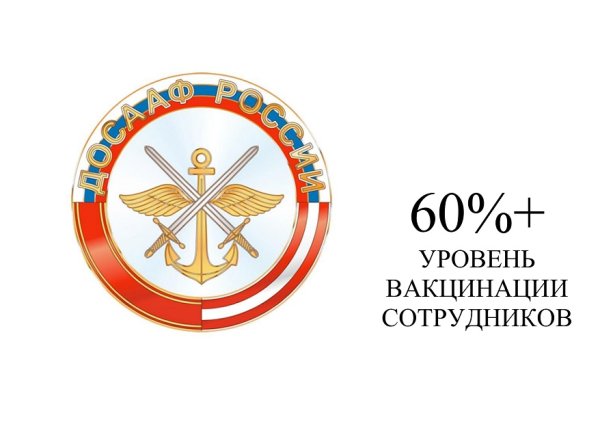 Флаг ДОСААФ России