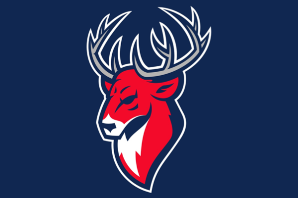 Эмблема Торпедо Нижний Новгород хоккейный клуб