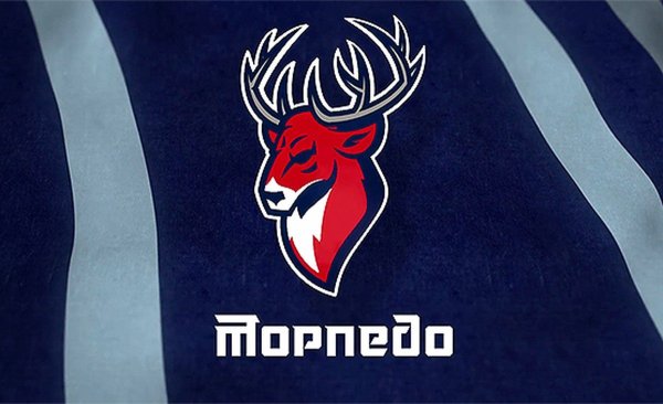 Эмблема Торпедо Нижний Новгород хоккейный клуб