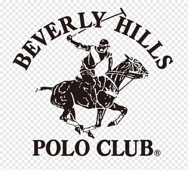 Polo Ralph Lauren vector