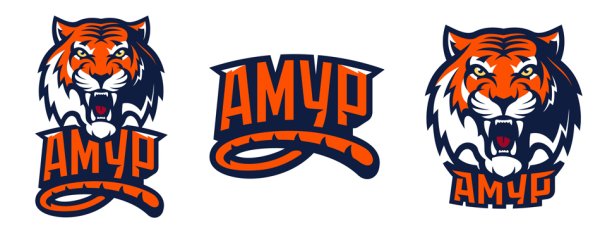 Хоккейный клуб Амур Хабаровск