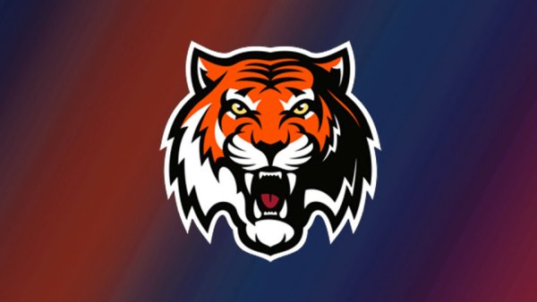 Эмблема хк Амур Хабаровск