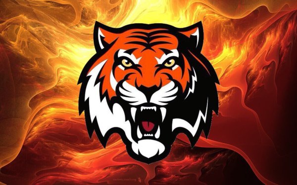 Логотип команды Амур