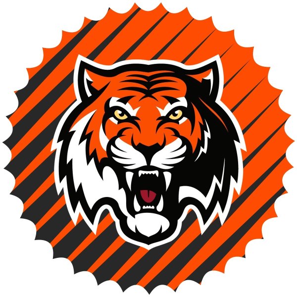 Логотип хоккейной команды Амур