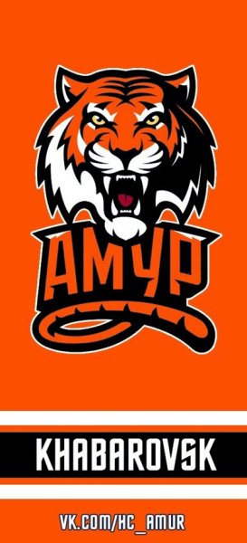 Хк Амур Хабаровск новый логотип