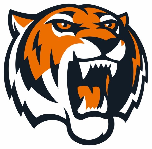 Эмблема Амура хоккей